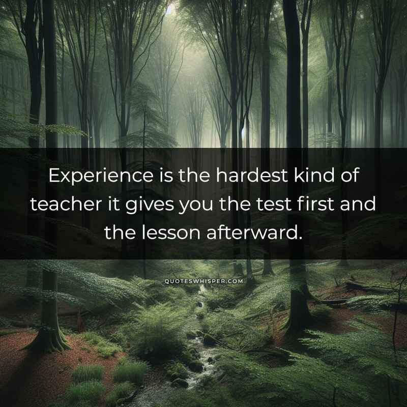 Experience is the hardest kind of teacher it gives you the test first and the lesson afterward.