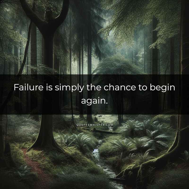 Failure is simply the chance to begin again.