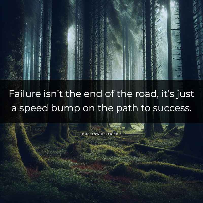 Failure isn’t the end of the road, it’s just a speed bump on the path to success.
