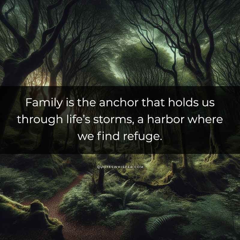 Family is the anchor that holds us through life’s storms, a harbor where we find refuge.