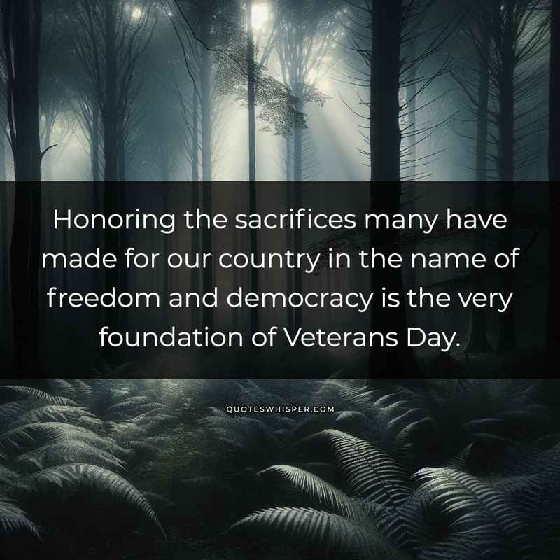 Honoring the sacrifices many have made for our country in the name of freedom and democracy is the very foundation of Veterans Day.
