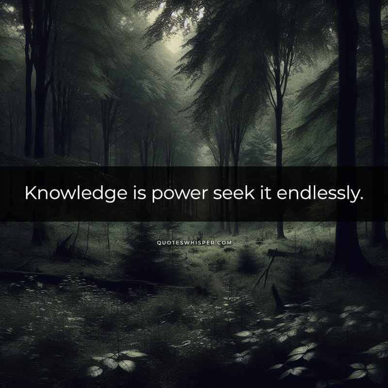 Knowledge is power seek it endlessly.