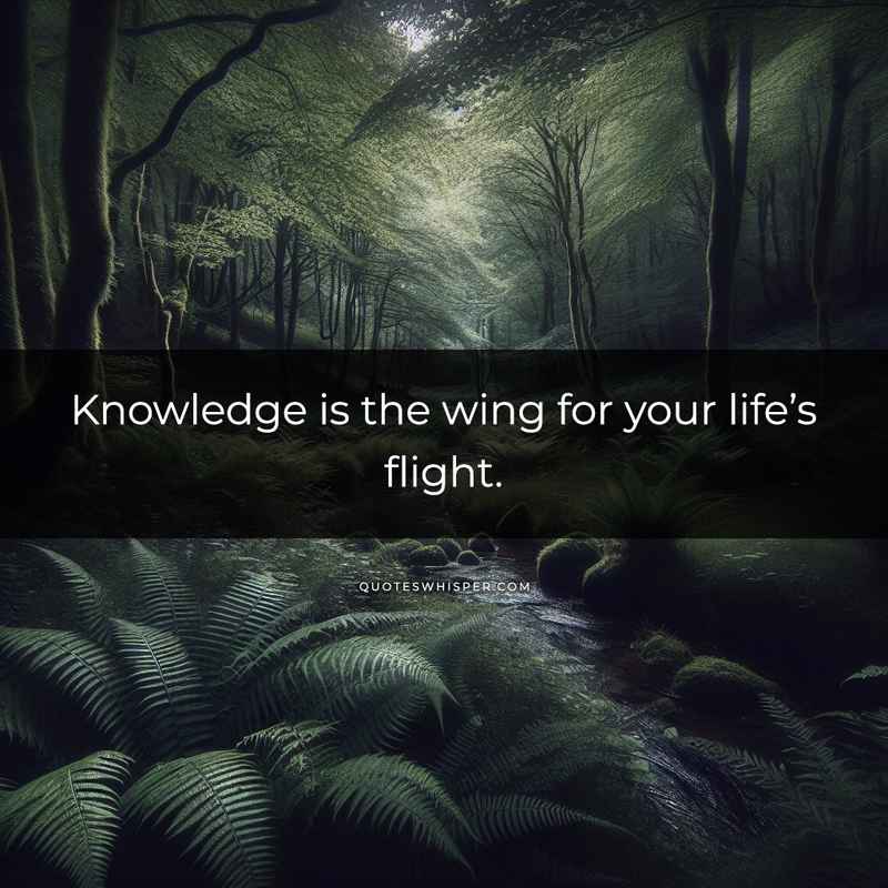 Knowledge is the wing for your life’s flight.