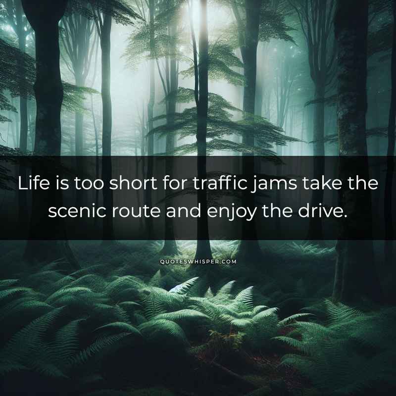 Life is too short for traffic jams take the scenic route and enjoy the drive.