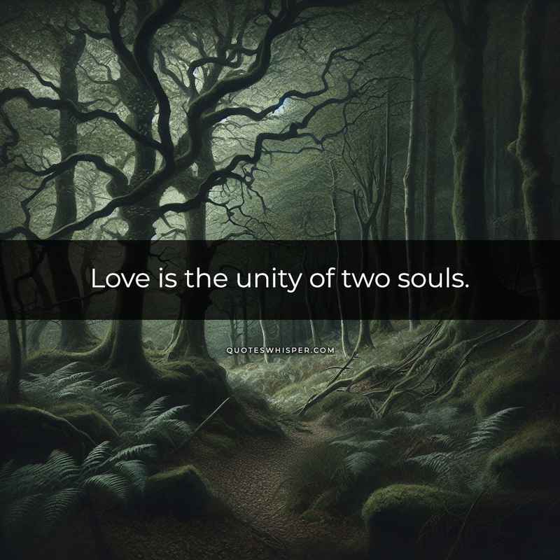 Love is the unity of two souls.