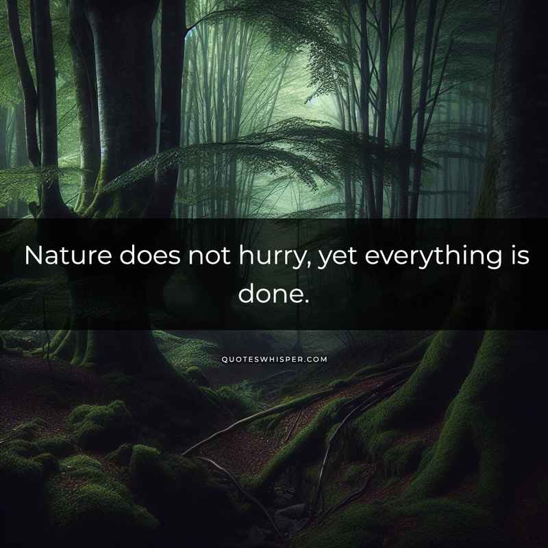 Nature does not hurry, yet everything is done.