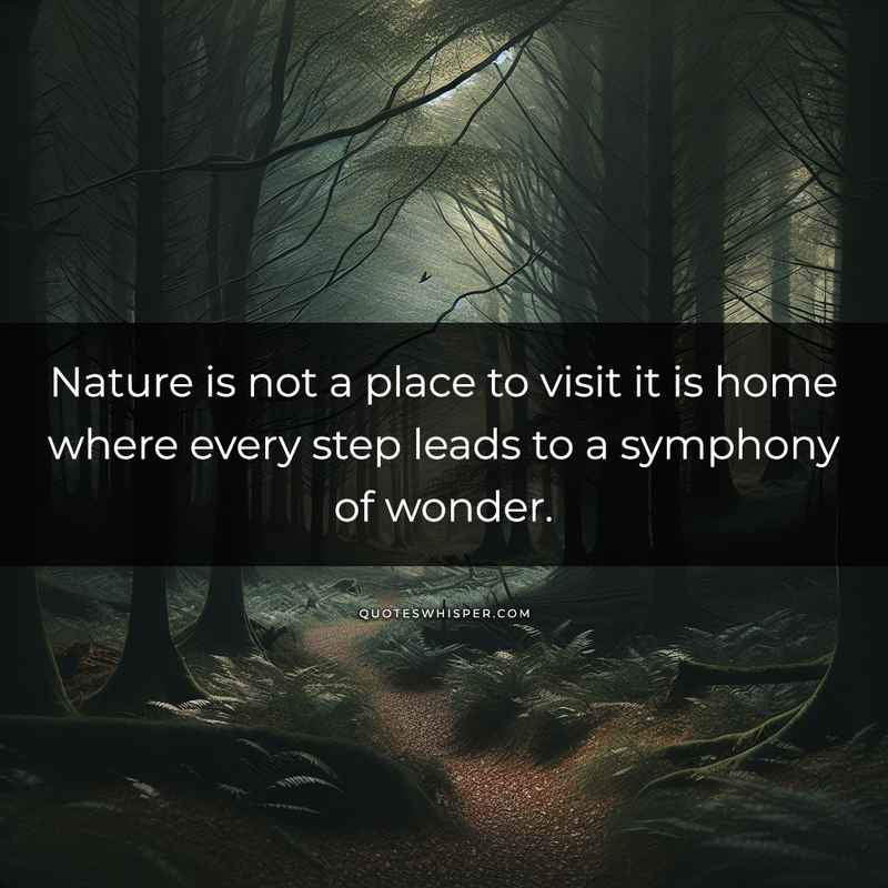Nature is not a place to visit it is home where every step leads to a symphony of wonder.