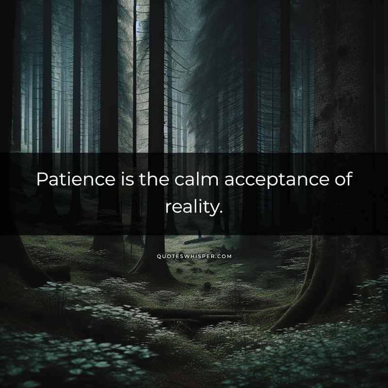 Patience is the calm acceptance of reality.