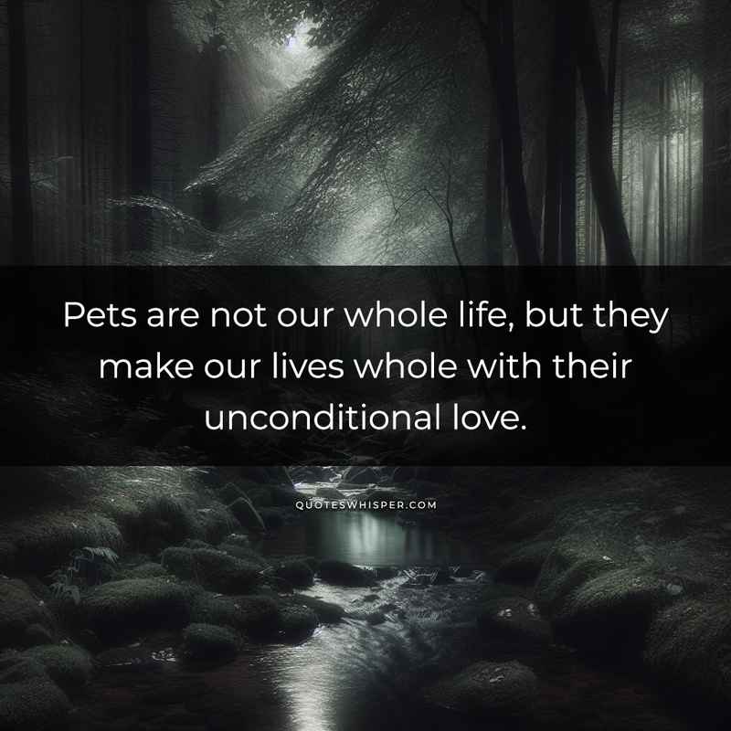 Pets are not our whole life, but they make our lives whole with their unconditional love.