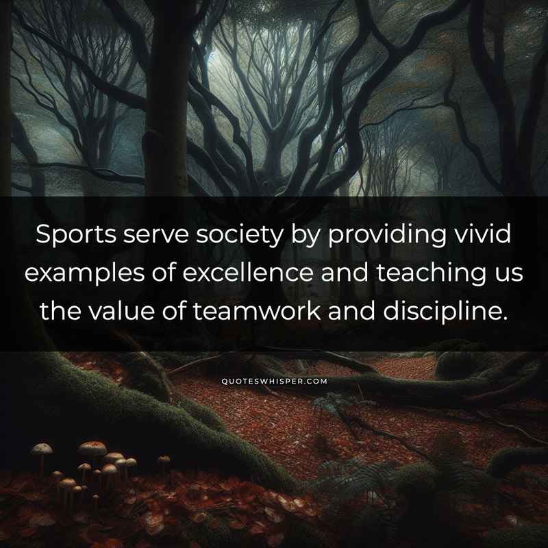 Sports serve society by providing vivid examples of excellence and teaching us the value of teamwork and discipline.