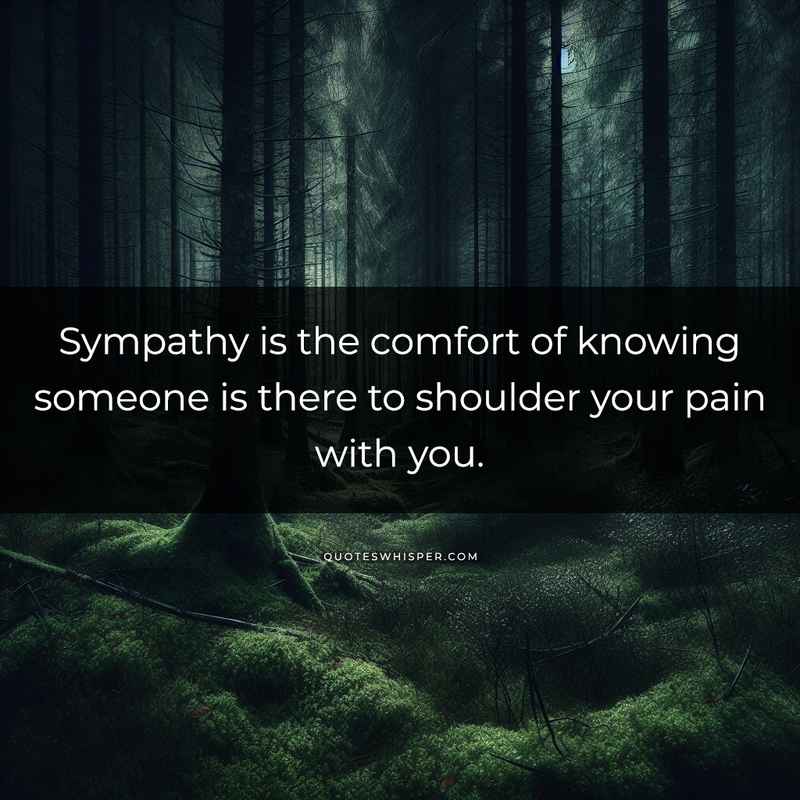 Sympathy is the comfort of knowing someone is there to shoulder your pain with you.