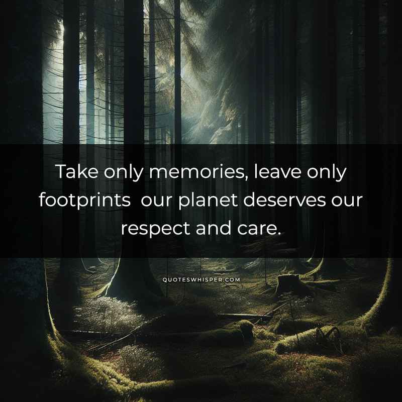 Take only memories, leave only footprints our planet deserves our respect and care.