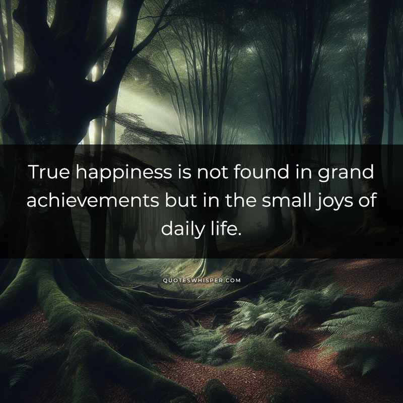 True happiness is not found in grand achievements but in the small joys of daily life.