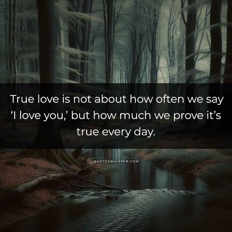 True love is not about how often we say ‘I love you,’ but how much we prove it’s true every day.