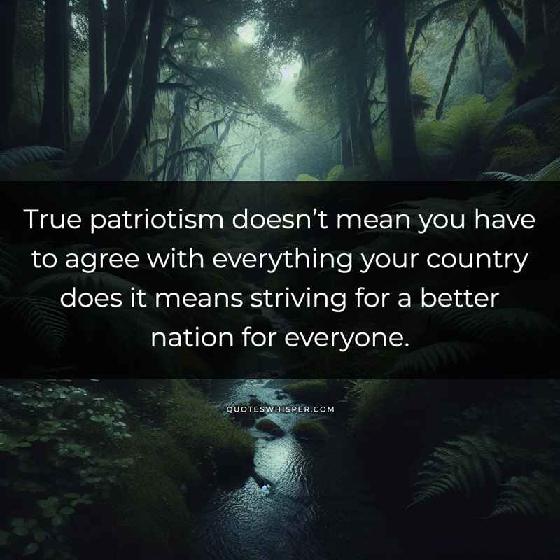 True patriotism doesn’t mean you have to agree with everything your country does it means striving for a better nation for everyone.