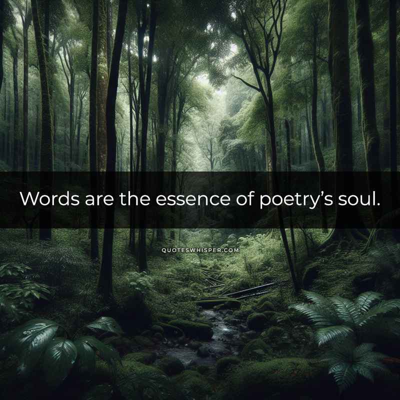 Words are the essence of poetry’s soul.