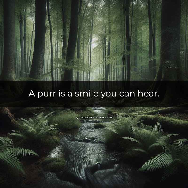 A purr is a smile you can hear.