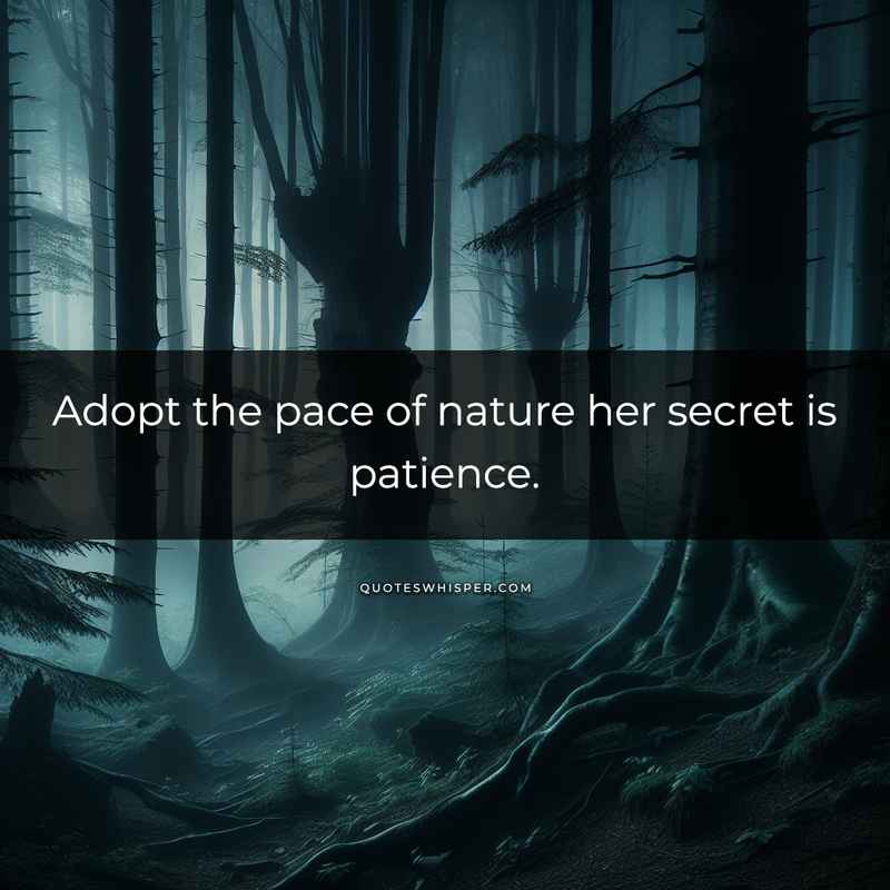 Adopt the pace of nature her secret is patience.
