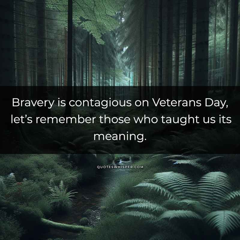 Bravery is contagious on Veterans Day, let’s remember those who taught us its meaning.