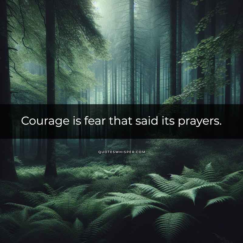 Courage is fear that said its prayers.