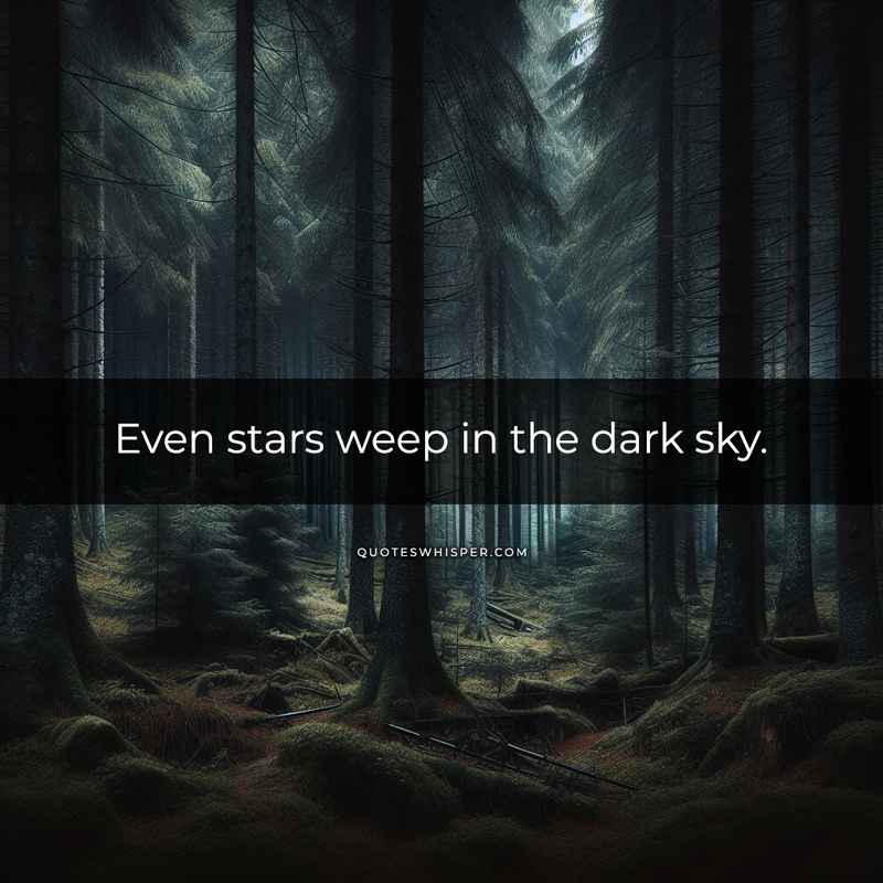 Even stars weep in the dark sky.