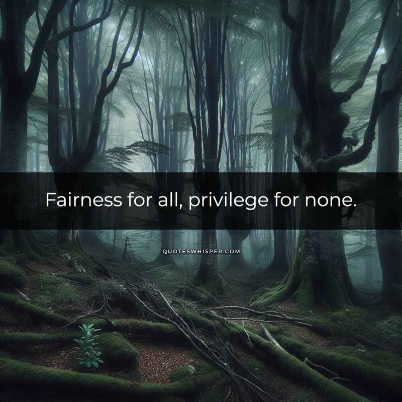 Fairness for all, privilege for none.