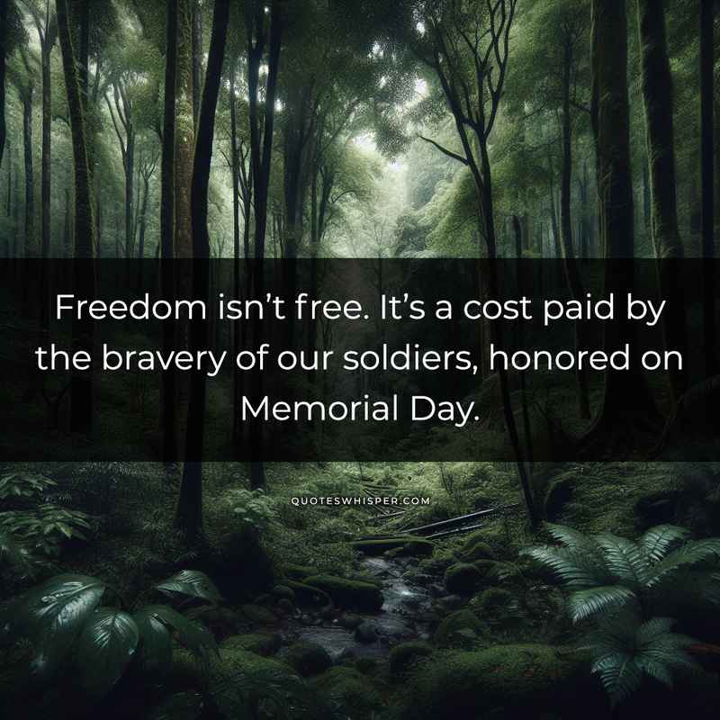 Freedom isn’t free. It’s a cost paid by the bravery of our soldiers, honored on Memorial Day.