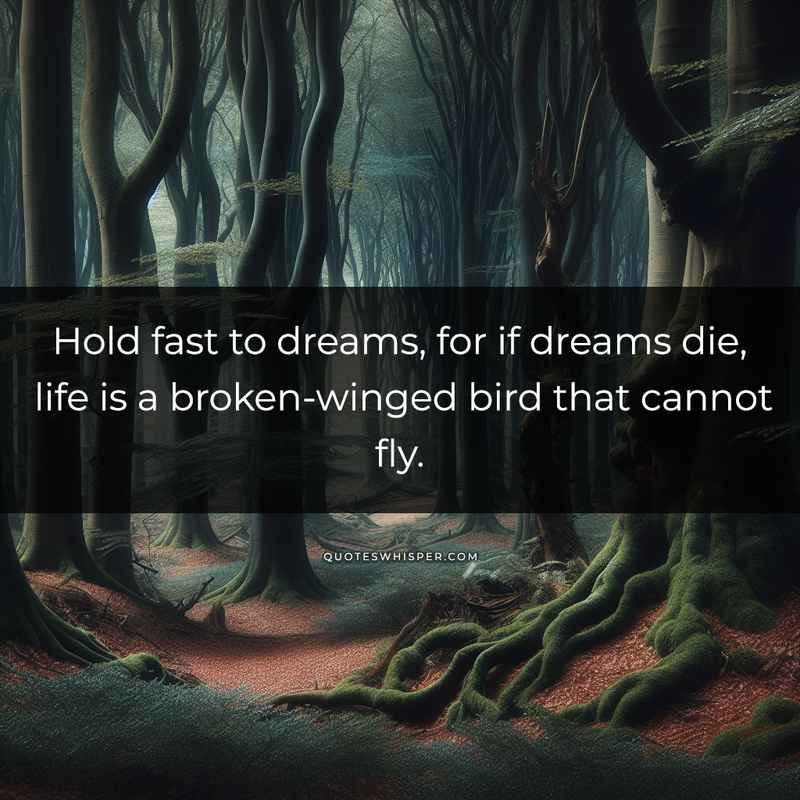 Hold fast to dreams, for if dreams die, life is a broken-winged bird that cannot fly.