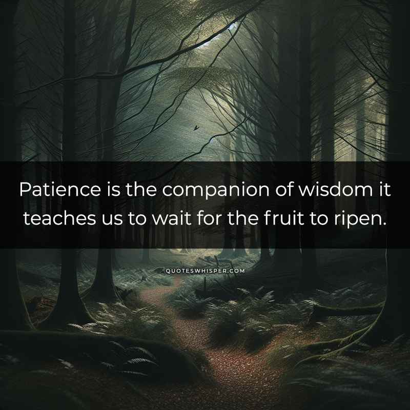 Patience is the companion of wisdom it teaches us to wait for the fruit to ripen.