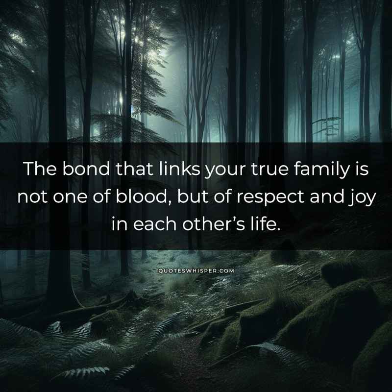 The bond that links your true family is not one of blood, but of respect and joy in each other’s life.
