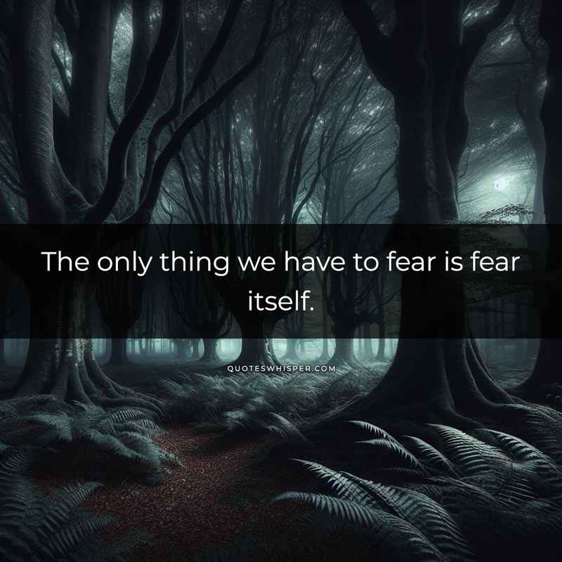 The only thing we have to fear is fear itself.