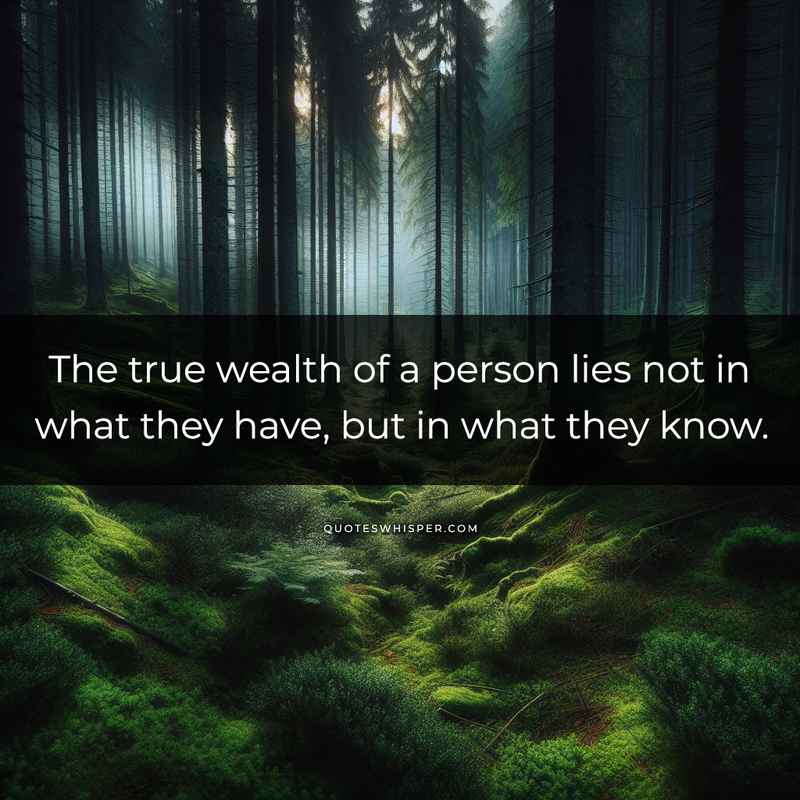 The true wealth of a person lies not in what they have, but in what they know.
