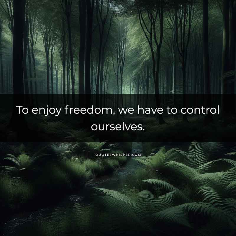To enjoy freedom, we have to control ourselves.