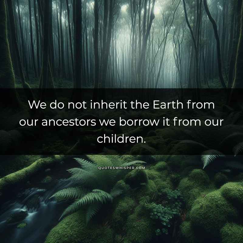We do not inherit the Earth from our ancestors we borrow it from our children.