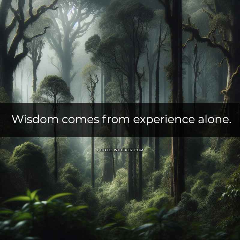 Wisdom comes from experience alone.