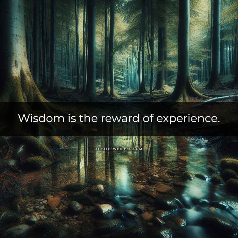 Wisdom is the reward of experience.