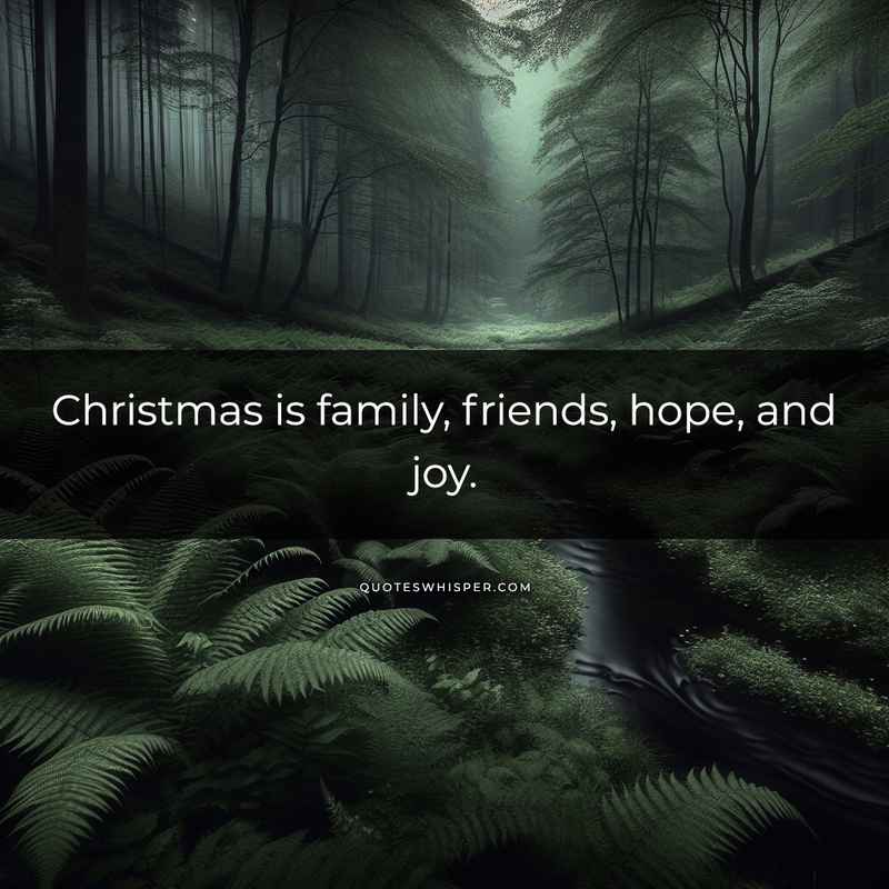 Christmas is family, friends, hope, and joy.