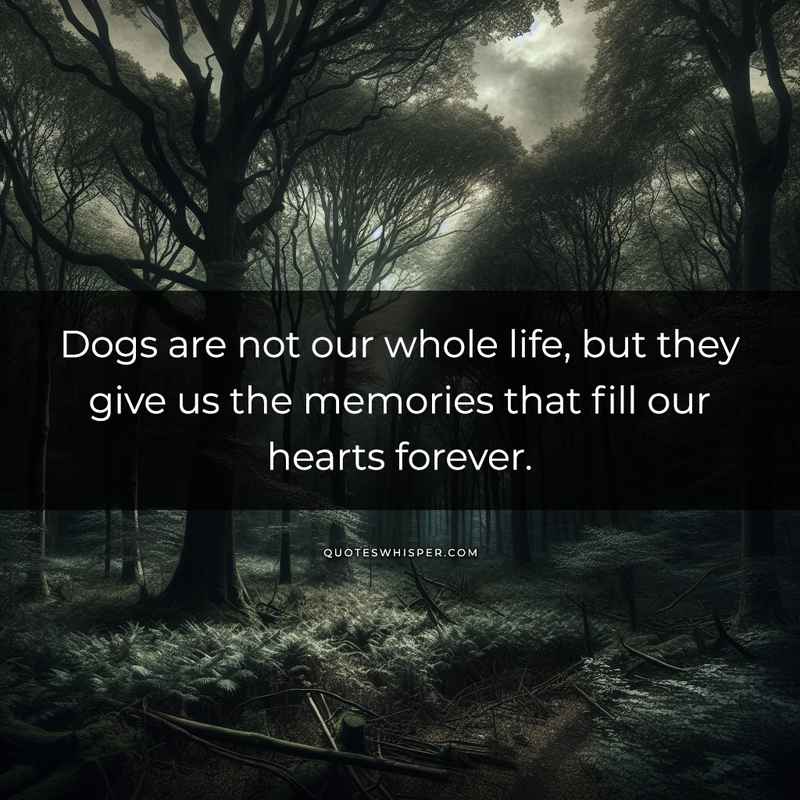 Dogs are not our whole life, but they give us the memories that fill our hearts forever.