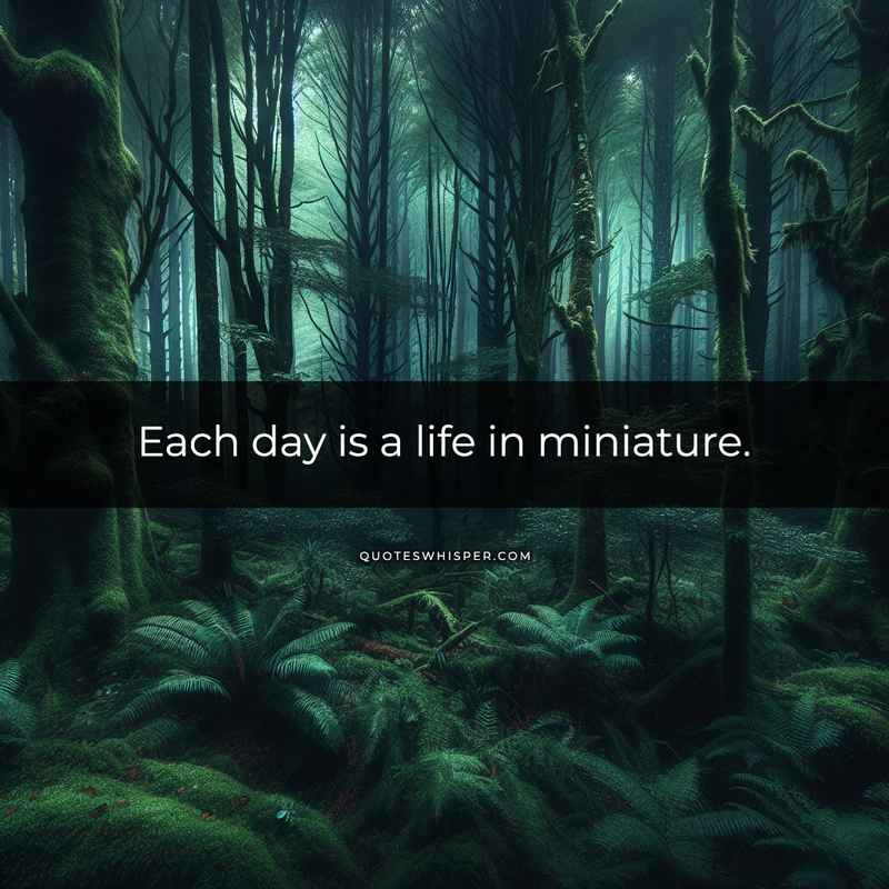 Each day is a life in miniature.