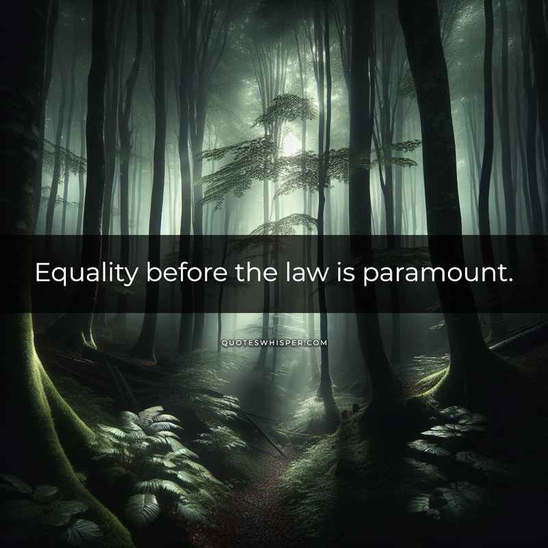 Equality before the law is paramount.