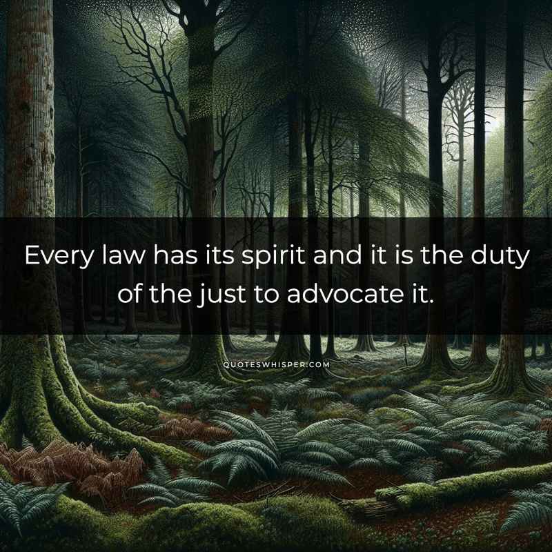 Every law has its spirit and it is the duty of the just to advocate it.