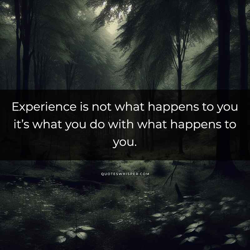 Experience is not what happens to you it’s what you do with what happens to you.