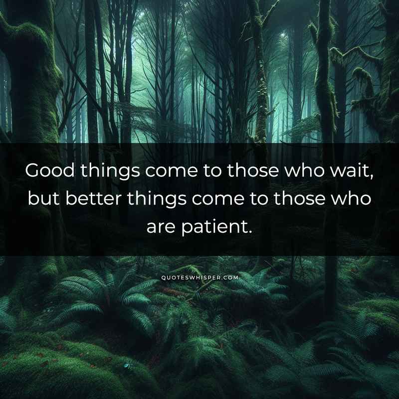 Good things come to those who wait, but better things come to those who are patient.
