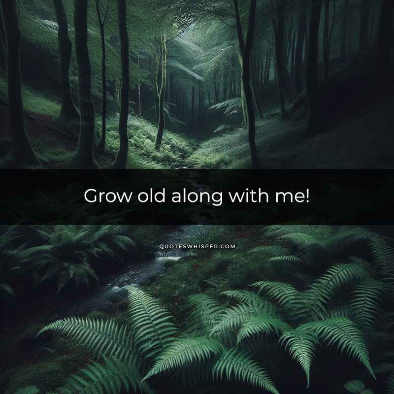 Grow old along with me!