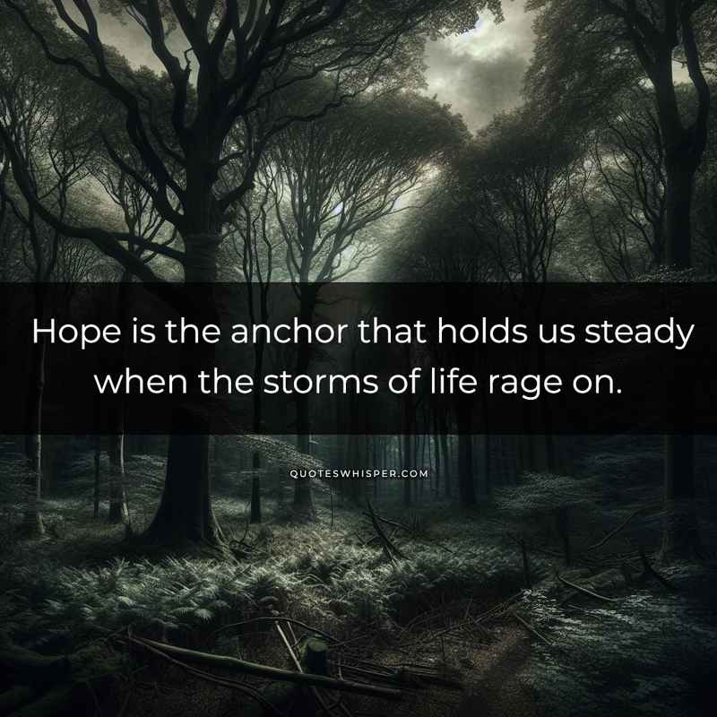 Hope is the anchor that holds us steady when the storms of life rage on.