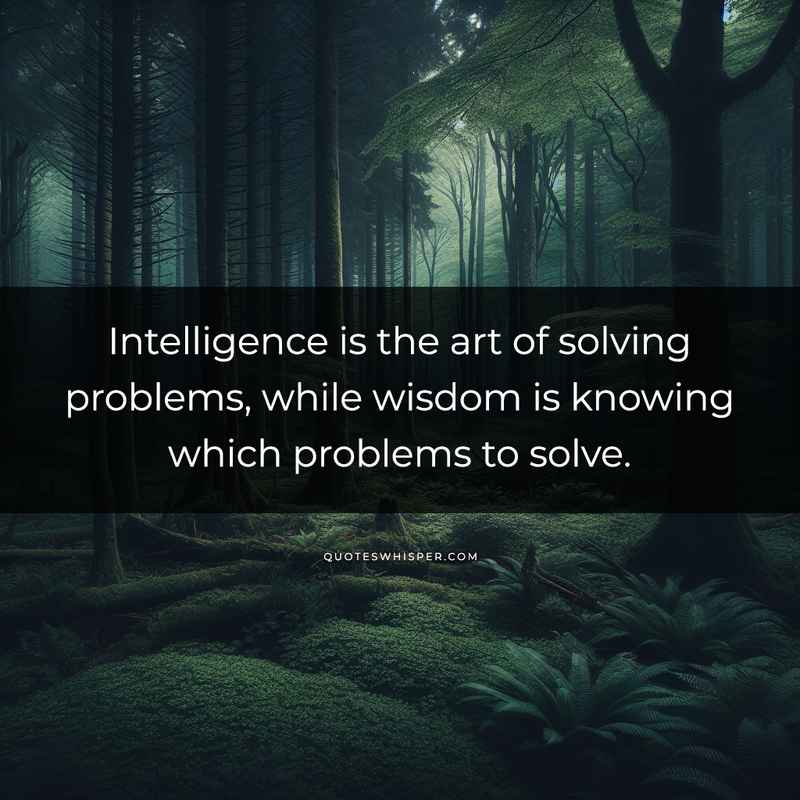 Intelligence is the art of solving problems, while wisdom is knowing which problems to solve.