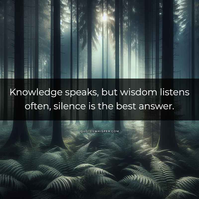 Knowledge speaks, but wisdom listens often, silence is the best answer.