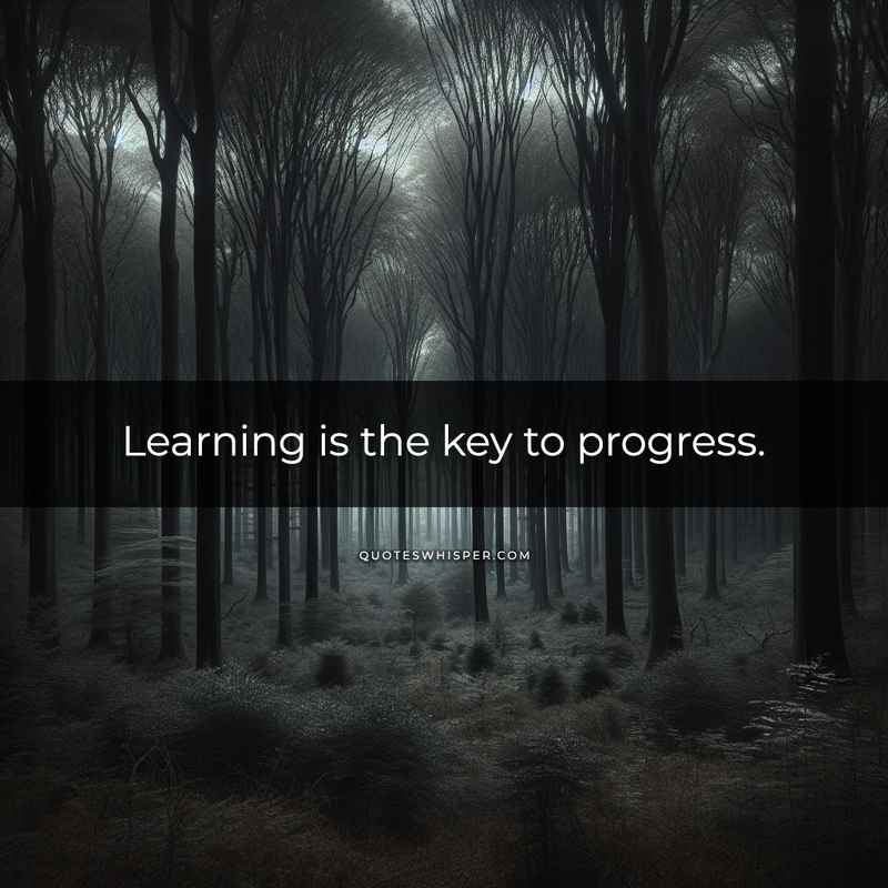 Learning is the key to progress.