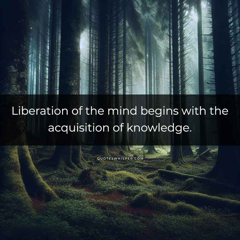 Liberation of the mind begins with the acquisition of knowledge.
