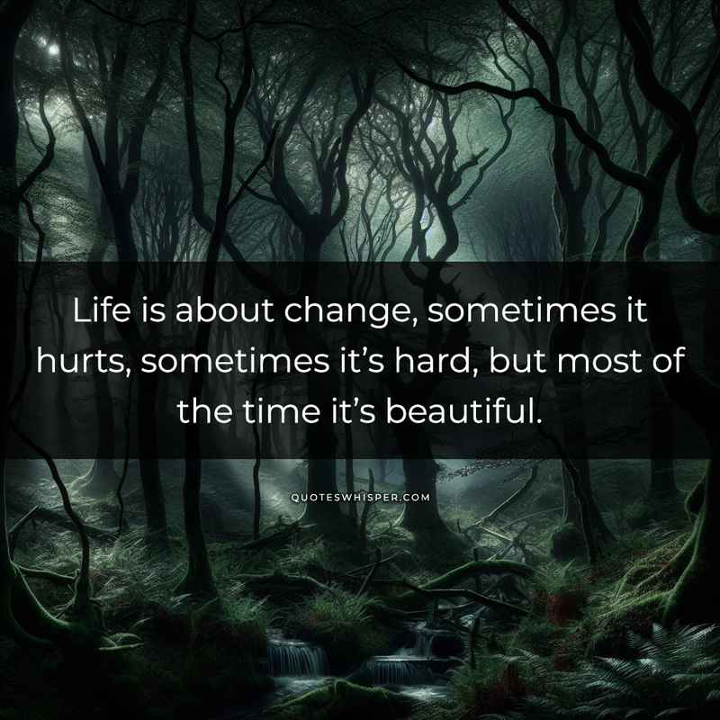 Life is about change, sometimes it hurts, sometimes it’s hard, but most of the time it’s beautiful.